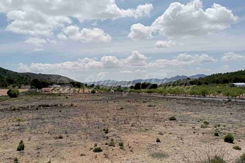 Helårsgrund i Yecla, Murcia, Yecla - € 25.000 | Ref: SF0457 - foto 10